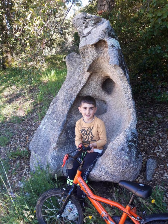 Padru Fumu Ludurru Farm Stay מראה חיצוני תמונה