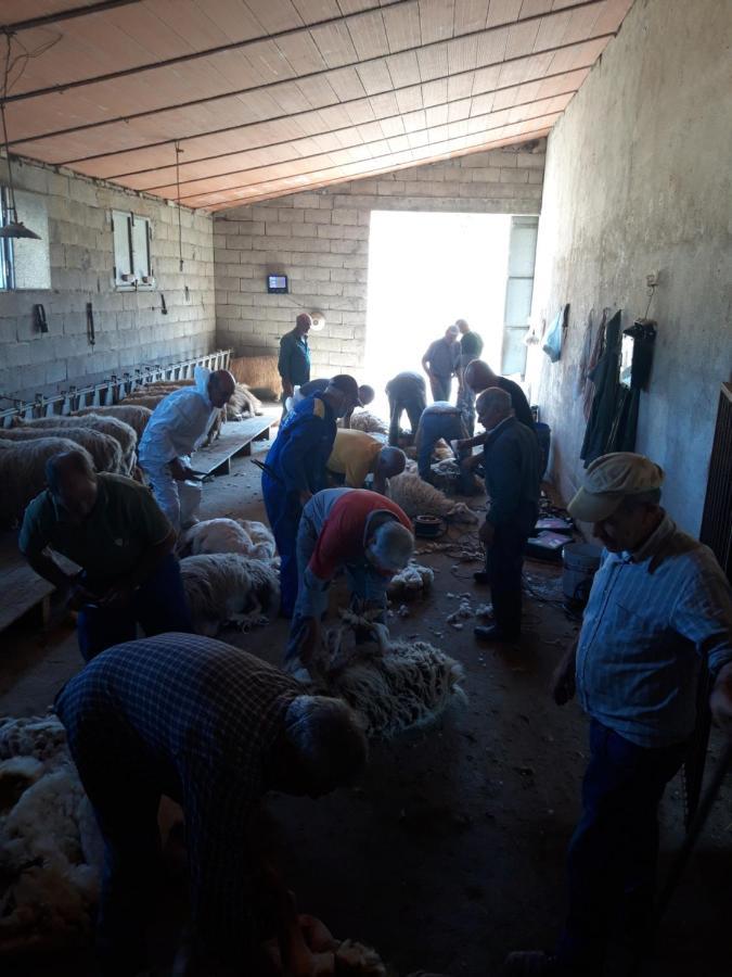 Padru Fumu Ludurru Farm Stay מראה חיצוני תמונה