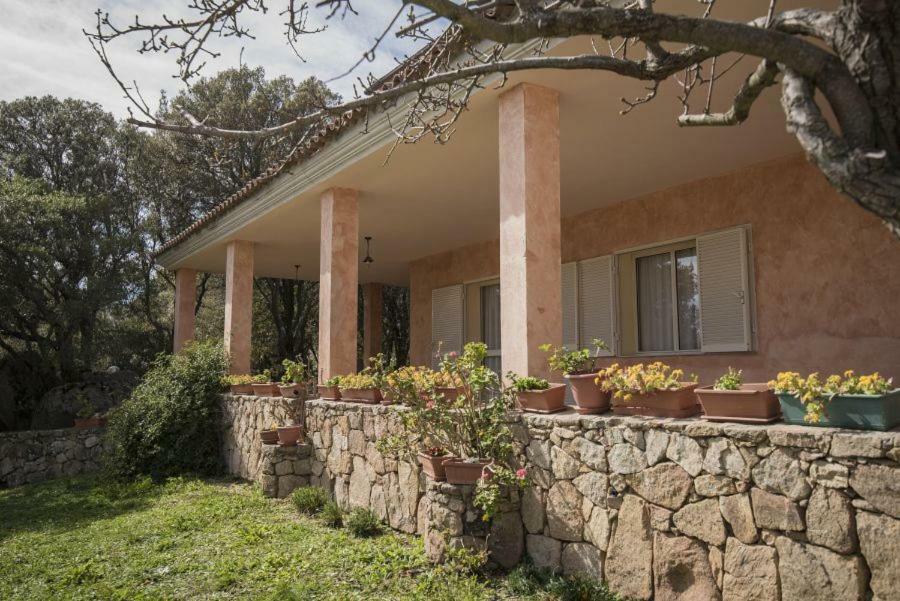Padru Fumu Ludurru Farm Stay מראה חיצוני תמונה