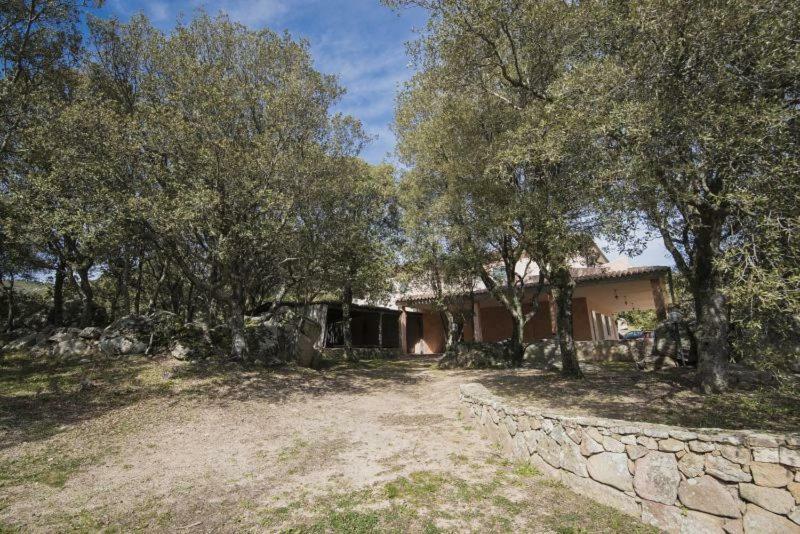 Padru Fumu Ludurru Farm Stay מראה חיצוני תמונה